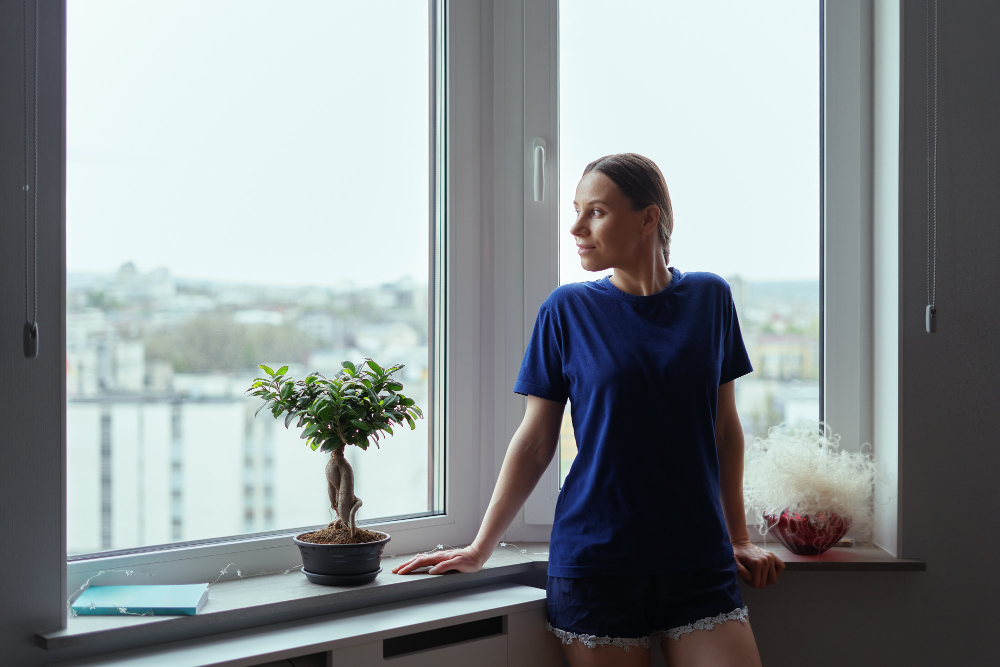 Greenville Vinyl Windows